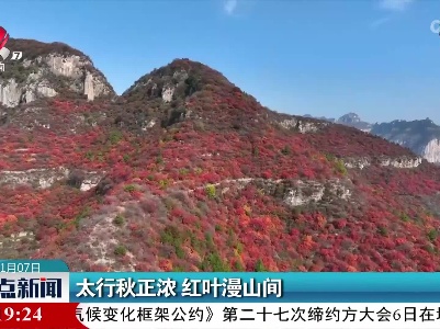 太行秋正浓 红叶漫山间