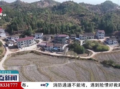 整点新闻20221113 14:00