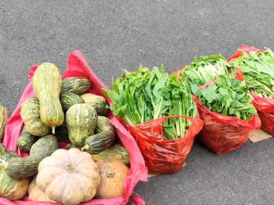 萍乡安源：爱心农户夫妻将200余斤蔬菜赠乡邻 