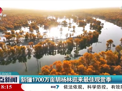 新疆1700万亩胡杨林迎来最佳观赏季