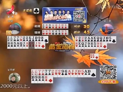 谁是赢家20221128