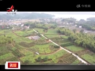 【丰收的果园】武宁：小小罗汉果 农民“致富果”