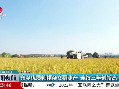 东乡优质籼粳杂交稻测产 连续三年创新高
