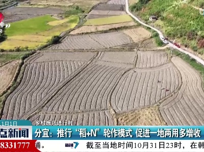 整点新闻20221101 12:00
