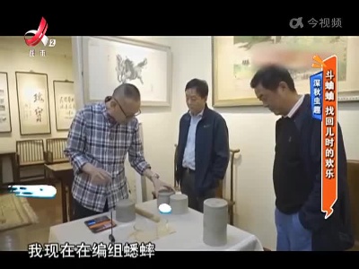 深秋虫趣——斗蛐蛐 找回儿时的欢乐