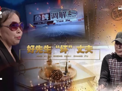 金牌调解20221106 好先生“坏”丈夫