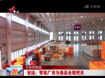 【丰收的果园】安远：智能厂房为果品全程把关