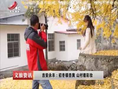 吉安永丰：初冬银杏黄 山村着彩妆