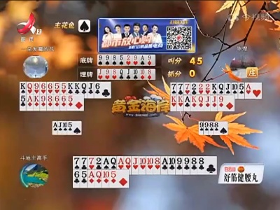 谁是赢家20221119