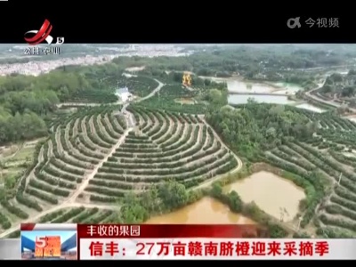 五哥帮忙团20221102