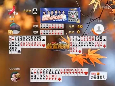 谁是赢家20221112