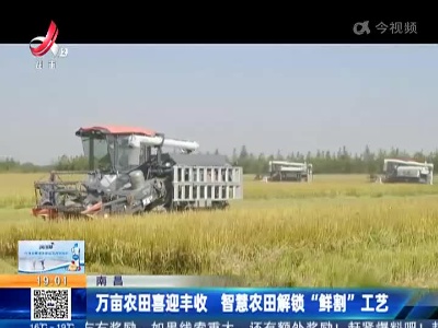 南昌：万亩农田喜迎丰收 智慧农田解锁“鲜割”工艺