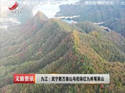 九江：武宁数万亩山乌桕染红九岭笔架山