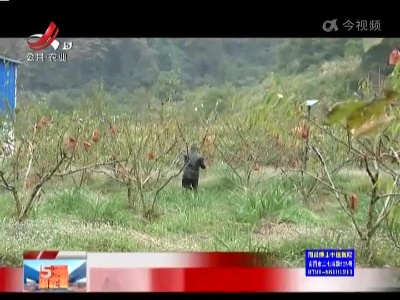 【抓落实 强服务 解民忧】南昌：退伍老兵新作为 六年垦出“花果山”