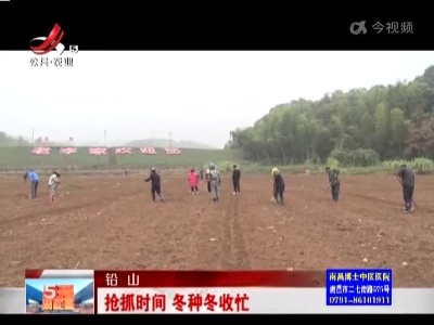 五哥帮忙团20221118