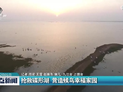 抢救碟形湖 营造候鸟幸福家园