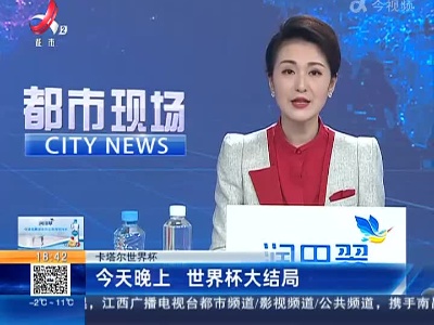 【卡塔尔世界杯】今天晚上 世界杯大结局