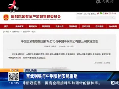 宝武钢铁与中钢集团实施重组