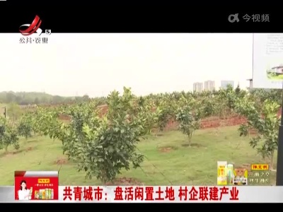 新闻晚高峰20221219