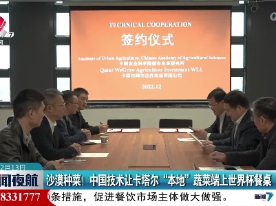 沙漠种菜！中国技术让卡塔尔“本地”蔬菜端上世界杯餐桌