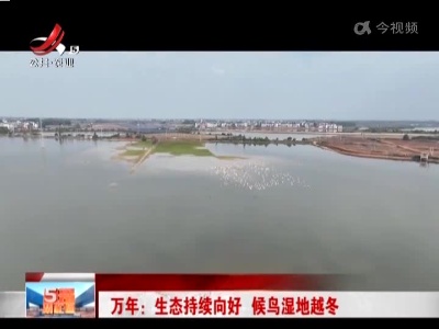 五哥帮忙团20221208