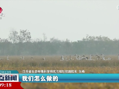 “赣鄱味”溢满中国角 从“江西日”看中国生态保护成果