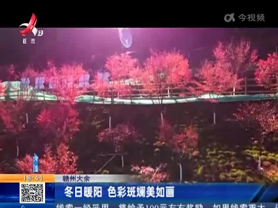 赣州大余：冬日暖阳 色彩斑斓美如画