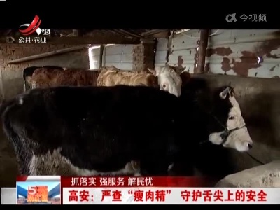 五哥帮忙团20221228
