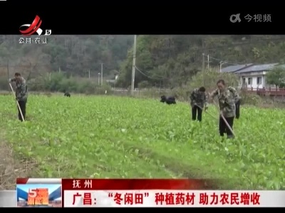 抚州广昌：“冬闲田”种植药材 助力农民增收