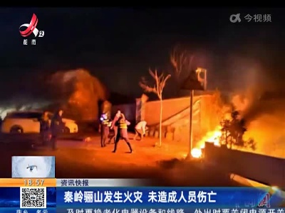 秦岭骊山发生火灾 未造成人员伤亡