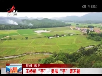 抚州东乡：王桥相“芋” 美味“芋”罢不能