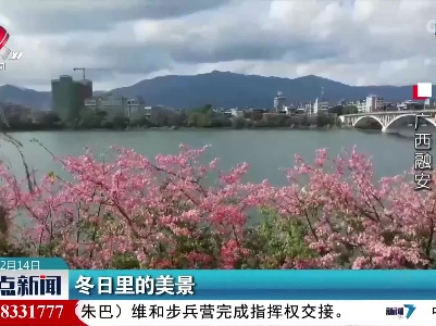 冬日里的美景