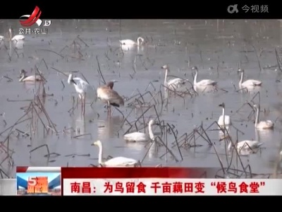 五哥帮忙团20221221
