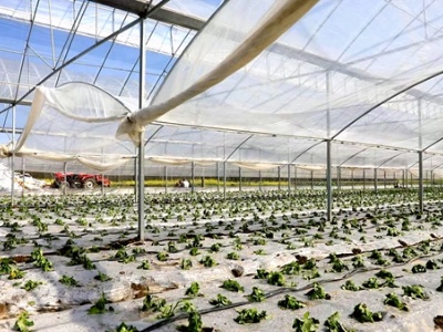 吉安市在中国新型智慧城市创新应用大赛获得七项荣誉