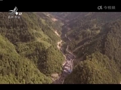 乡村栏目剧场20221205