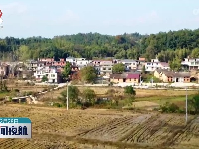 宜春：抢抓冬修黄金期 积极推进高标准农田建设