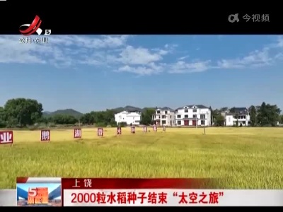 上饶：2000粒水稻种子结束“太空之旅”