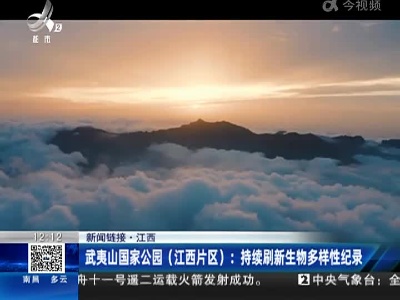 都市现场·午间版20221207