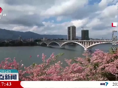 冬日里的美景