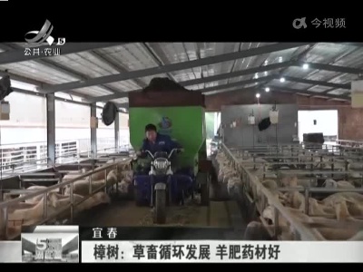 宜春樟树：草畜循环发展 羊肥药材好
