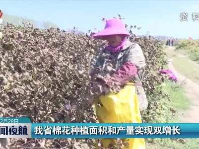 我省棉花种植面积和产量实现双增长