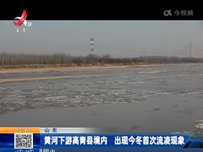 山东：黄河下游高青县境内 出现今冬首次流凌现象