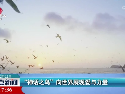 “神话之鸟”向世界展现爱与力量