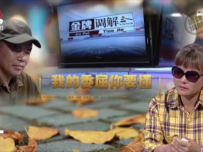 金牌调解20221225 我的委屈你要懂