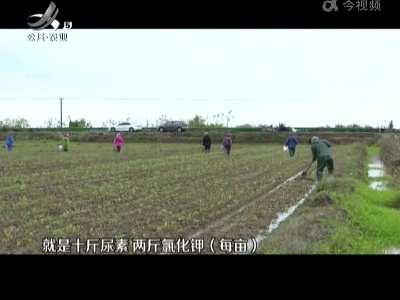 五哥帮忙团20221206