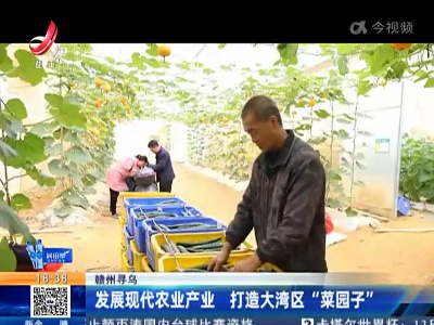 赣州寻乌：发展现代农业产业 打造大湾区“菜园子”