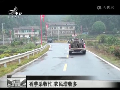 五哥帮忙团20221205