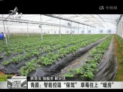 【抓落实 强服务 解民忧】青原：智能控温“保驾” 草莓住上“暖房”