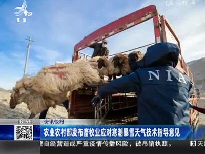 农业农村部发布畜牧业应对寒潮暴雪天气技术指导意见