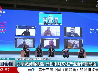 共享发展新机遇 开创中阿文化产业合作新局面